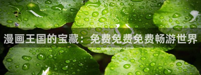 动漫之家apk