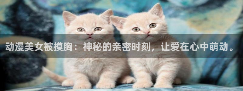 动漫之家小说