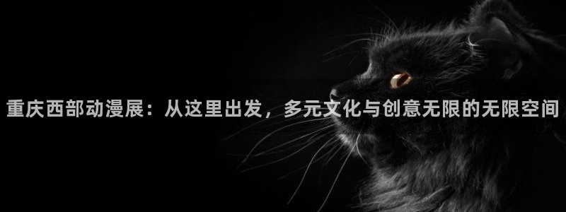 动漫之家安装包