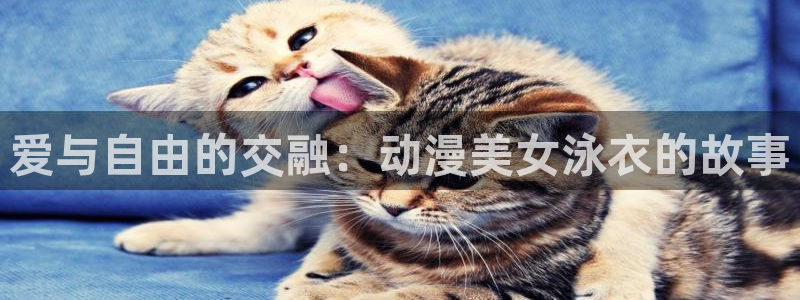 变身emergence 动漫之家
