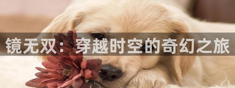 178动漫之家官网